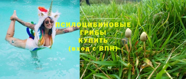 apvp Абдулино