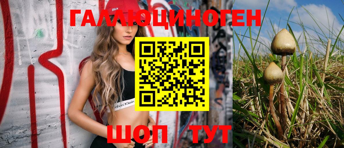 Грязи  Псилоцибиновые грибы GOLDEN TEACHER  Вход с VPN 