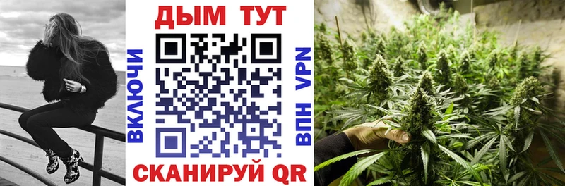Канабис сатива  Грязи 